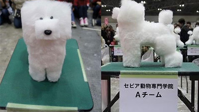 Name:  Square-groomed-dog.jpg
Views: 1043
Size:  50.5 KB