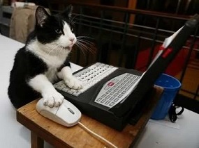 Name:  kat on laptop.JPG
Views: 502
Size:  24.2 KB